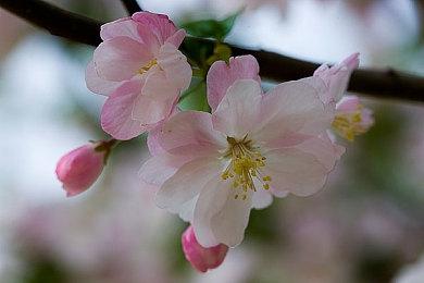 E3 2021：B社吸血鬼新作《Redfall》预告 2022年暑期发售